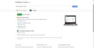 demo google speed